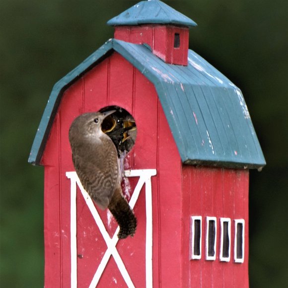 Meet your Posher, Posh - Picture 11 of 16